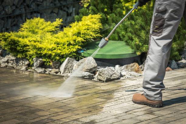 Best Gutter Cleaning  in Somerville, TN