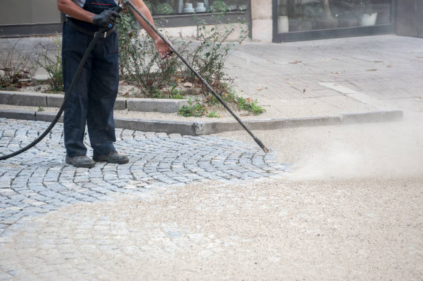 Best Spring Cleaning  in Somerville, TN