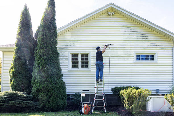 Best Dumpster Area Cleaning  in Somerville, TN